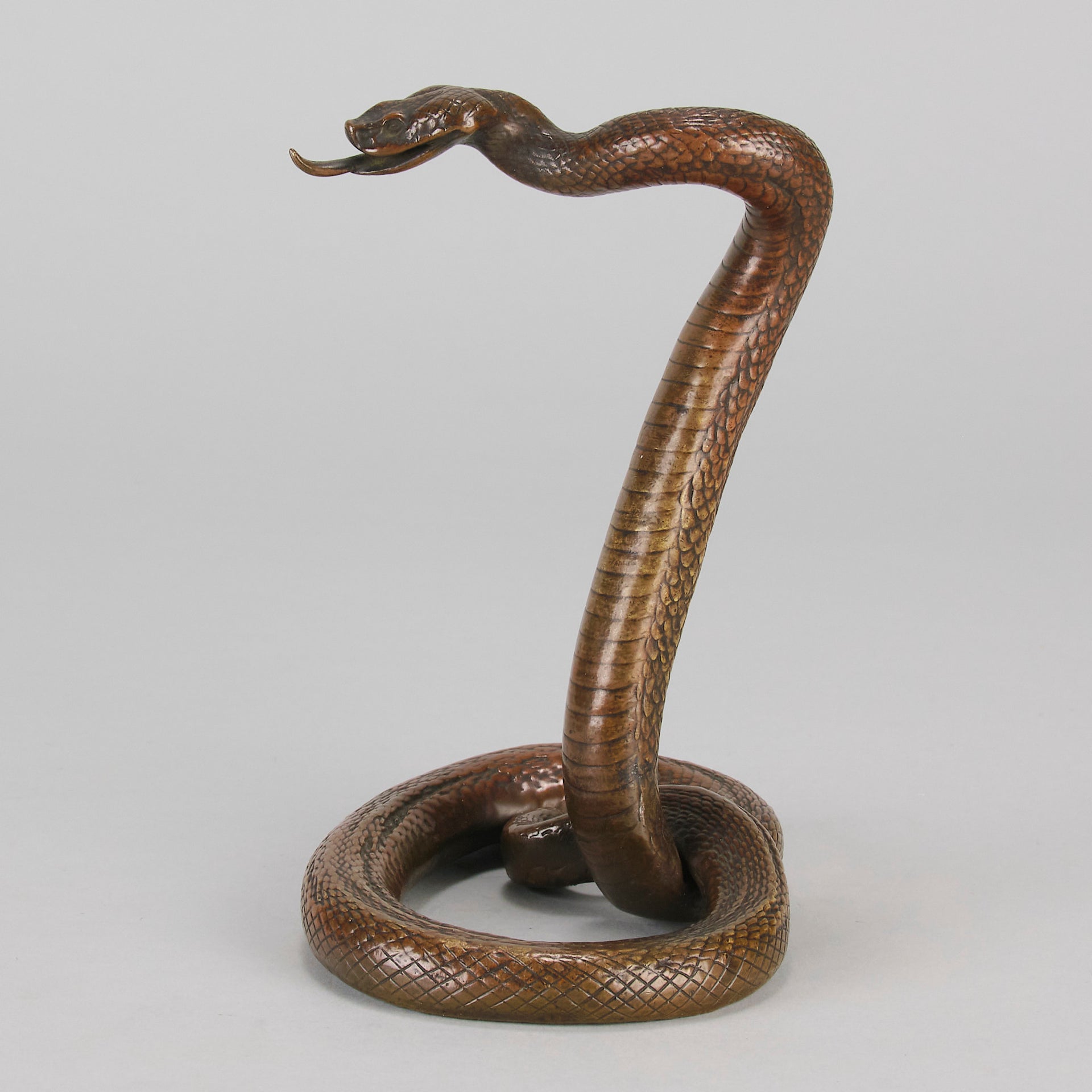 Rearing Snake an early 20th Century Art Deco bronze study of a rearing snake, its tail curled and head raised in an alert position by Edgar Brandt 