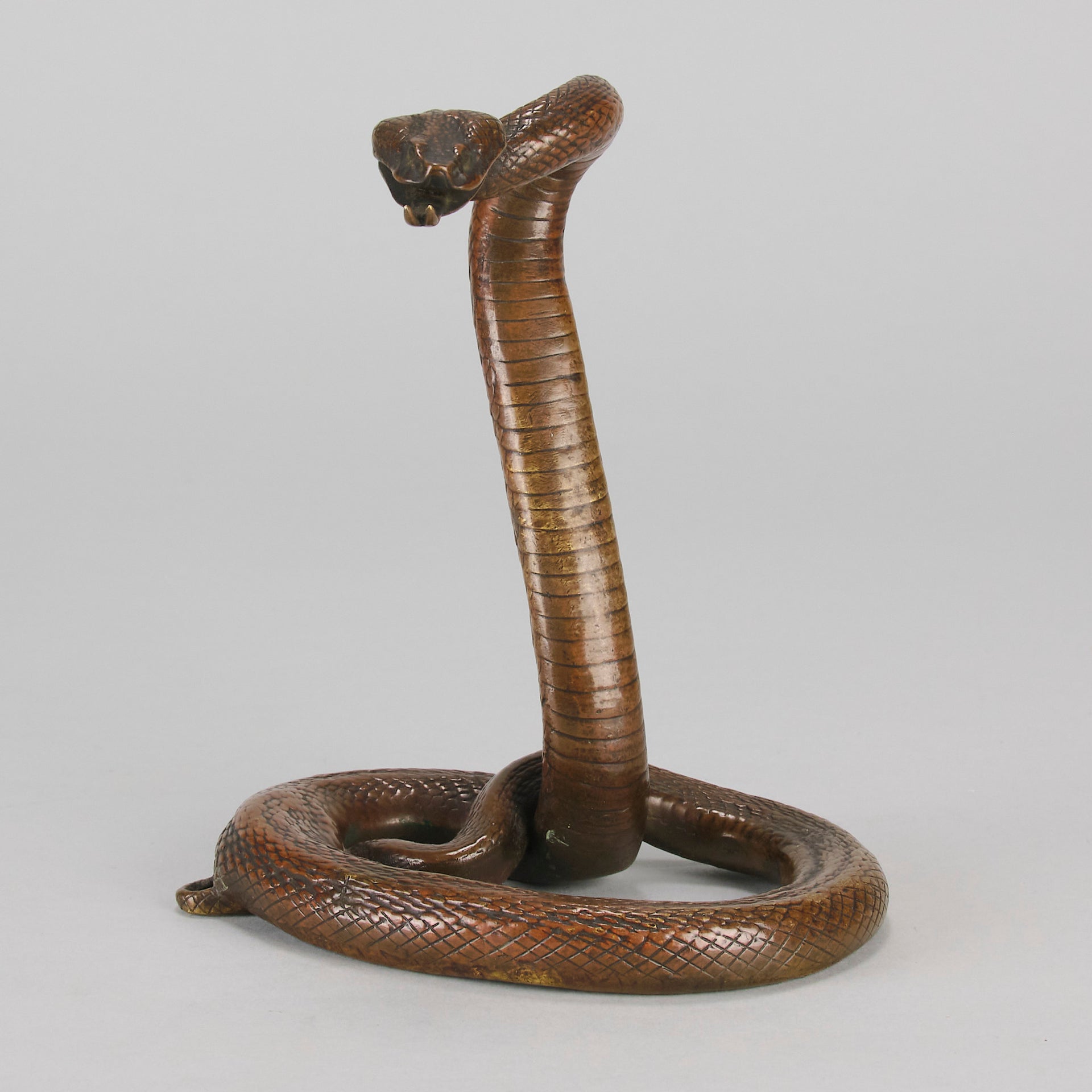 Rearing Snake an early 20th Century Art Deco bronze study of a rearing snake, its tail curled and head raised in an alert position by Edgar Brandt 