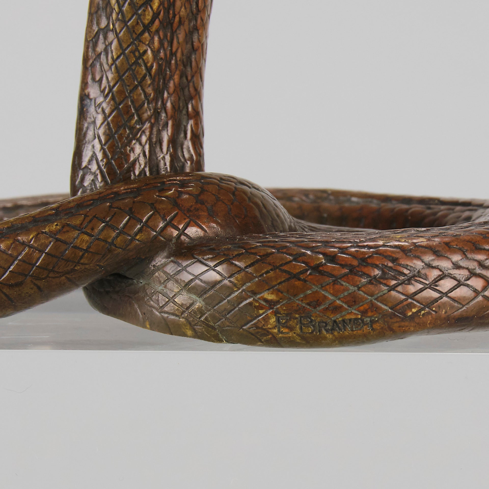 Rearing Snake an early 20th Century Art Deco bronze study of a rearing snake, its tail curled and head raised in an alert position by Edgar Brandt 