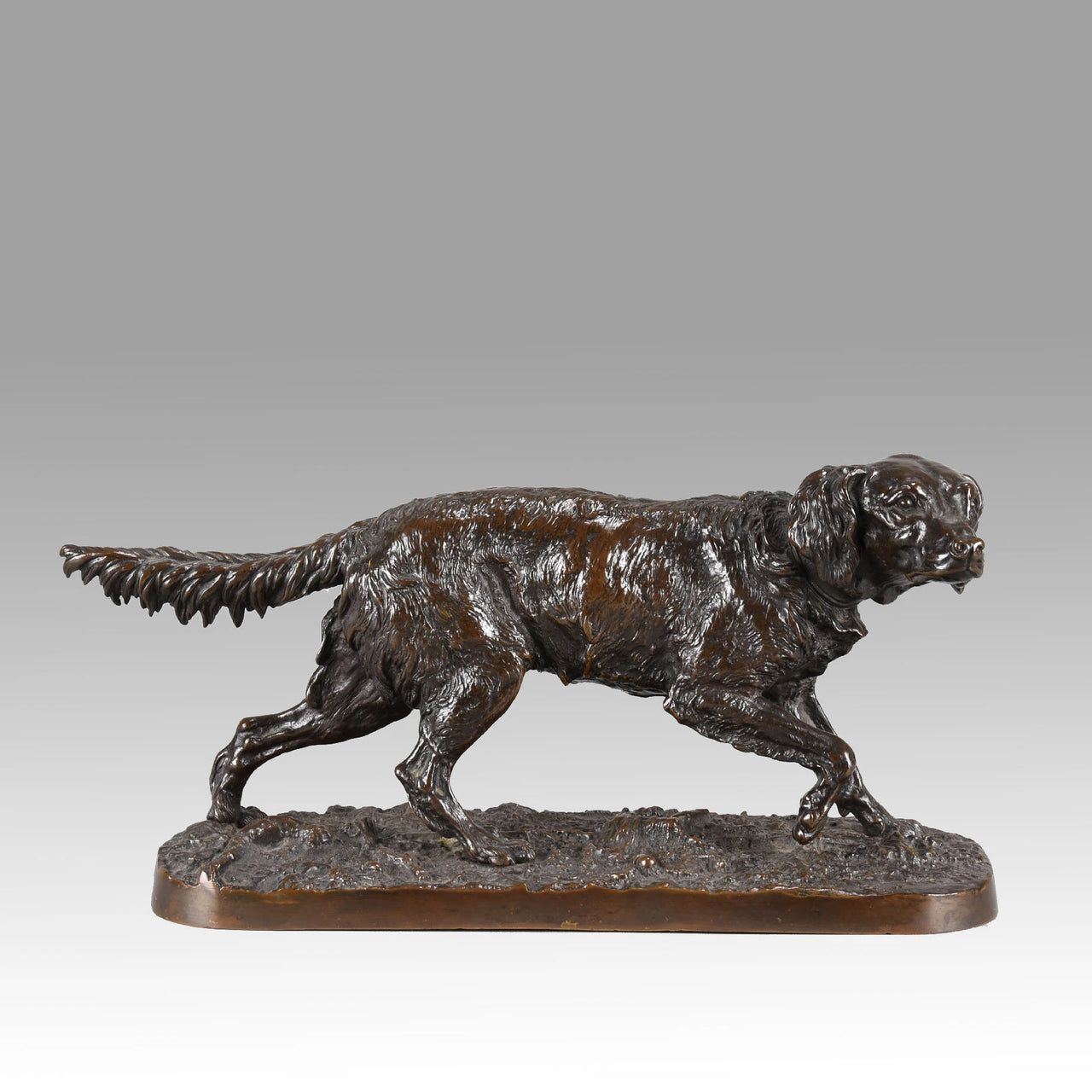 "Chien Épagneul Français - Fabio" by P J  Mêne