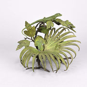 Lizard and Frog on Leaf by Bergman