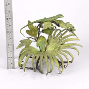 Lizard and Frog on Leaf by Bergman