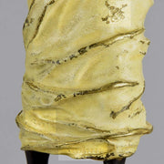 Cold Painted Franz Bergman Bronze 