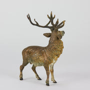 Bergman Bronze Stag
