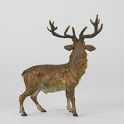 Bergman Bronze Stag