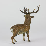 Bergman Bronze Stag