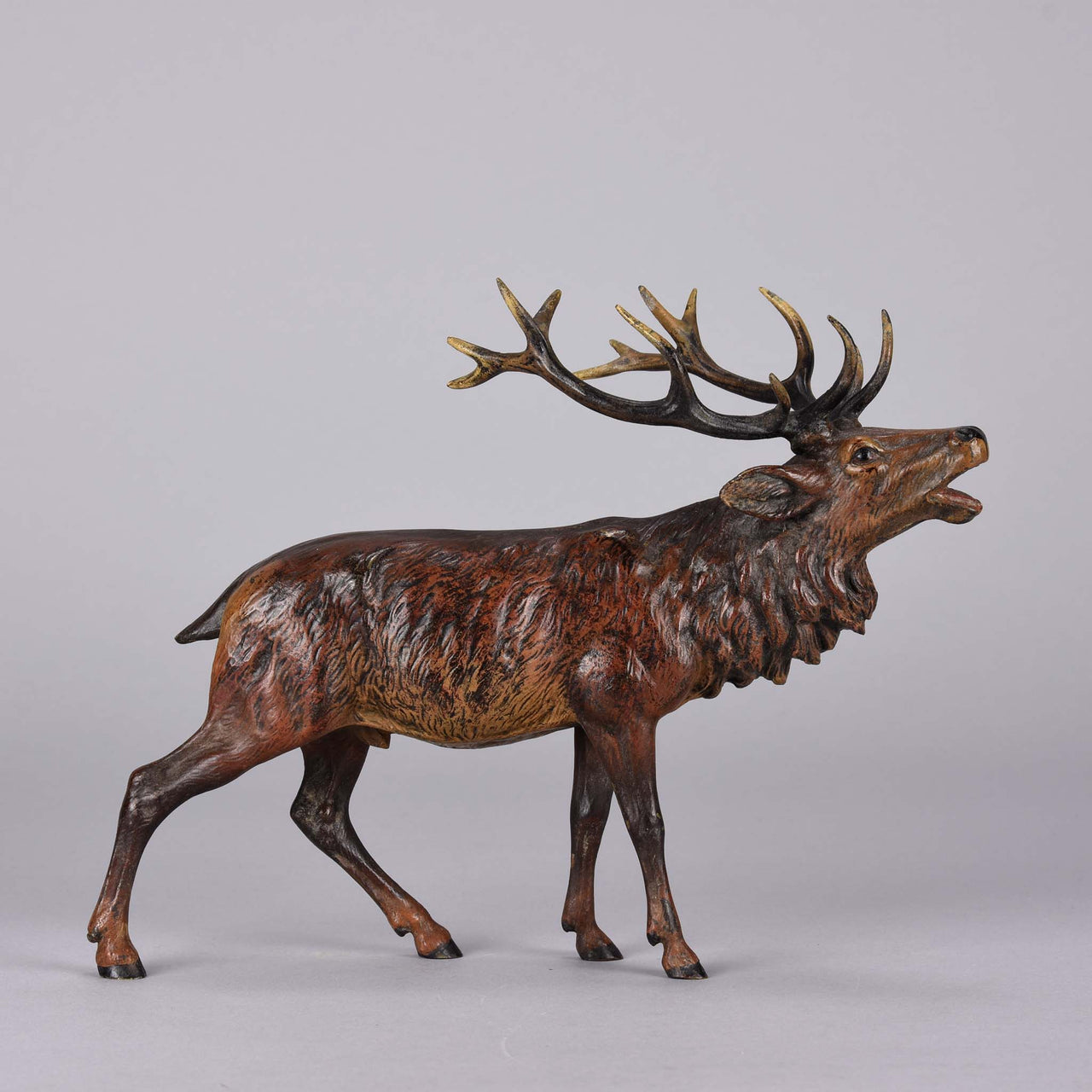 Franz Bergman Bellowing Stag
