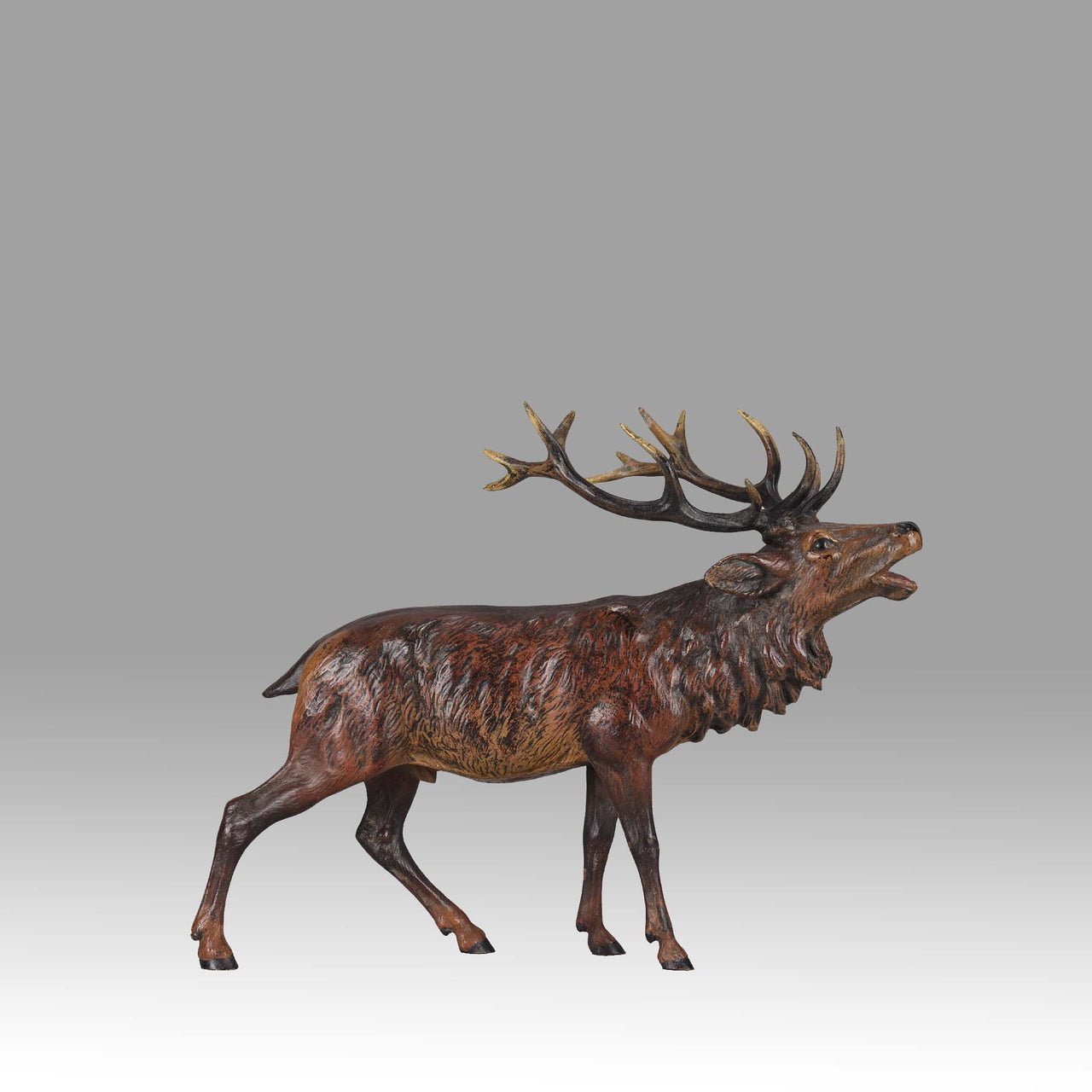Franz Bergman Bellowing Stag
