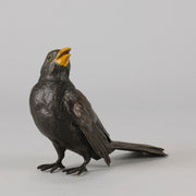 Bergman Bronze - Antique Bronze - Blackbird - Franz Bergman - Bergman cold painted bronze - Hickmet Fine Arts