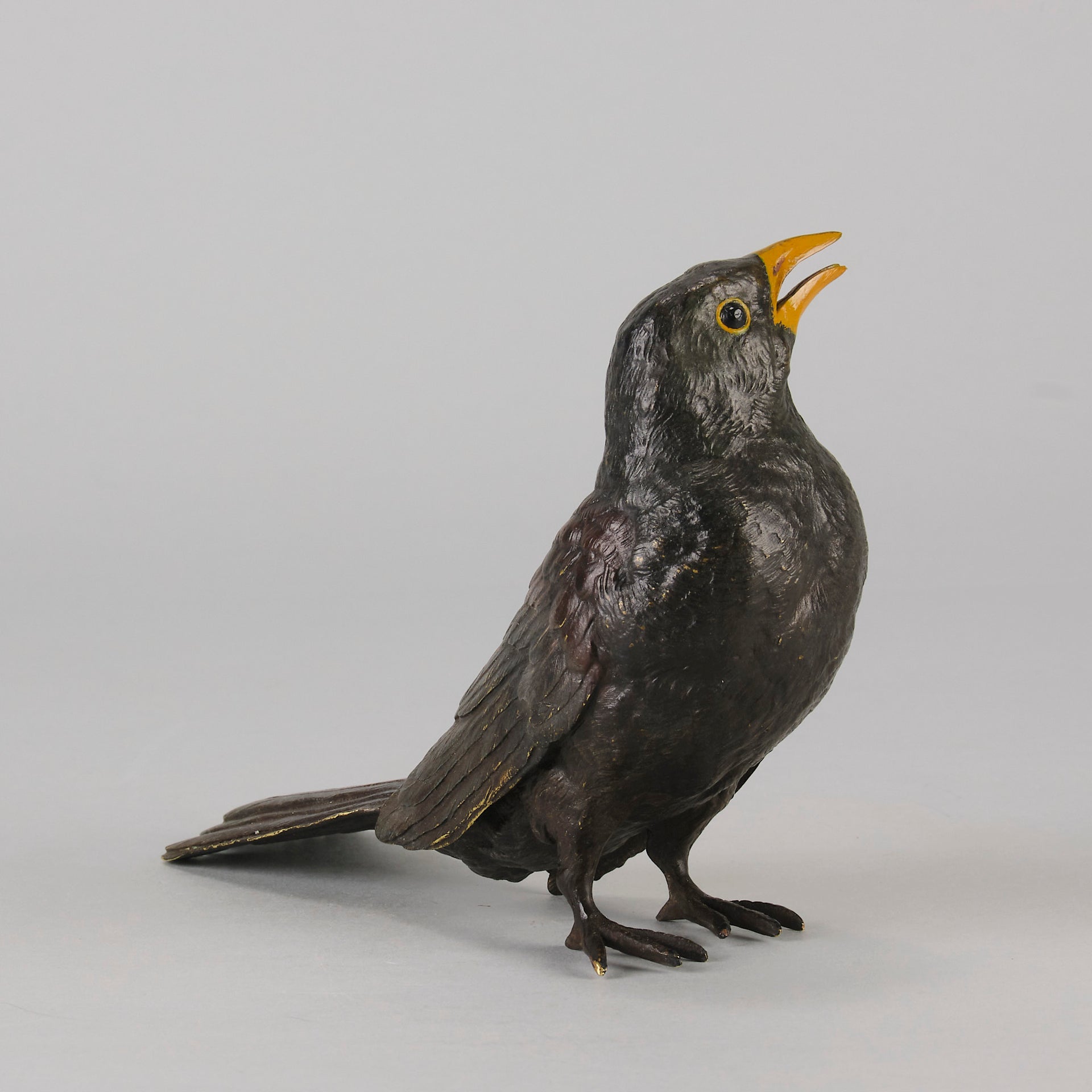 Bergman Bronze - Antique Bronze - Blackbird - Franz Bergman - Bergman cold painted bronze - Hickmet Fine Arts