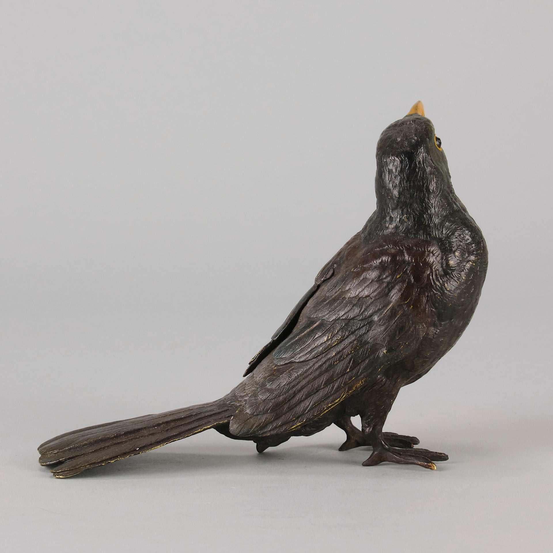 Bergman Bronze - Antique Bronze - Blackbird - Franz Bergman - Bergman cold painted bronze - Hickmet Fine Arts