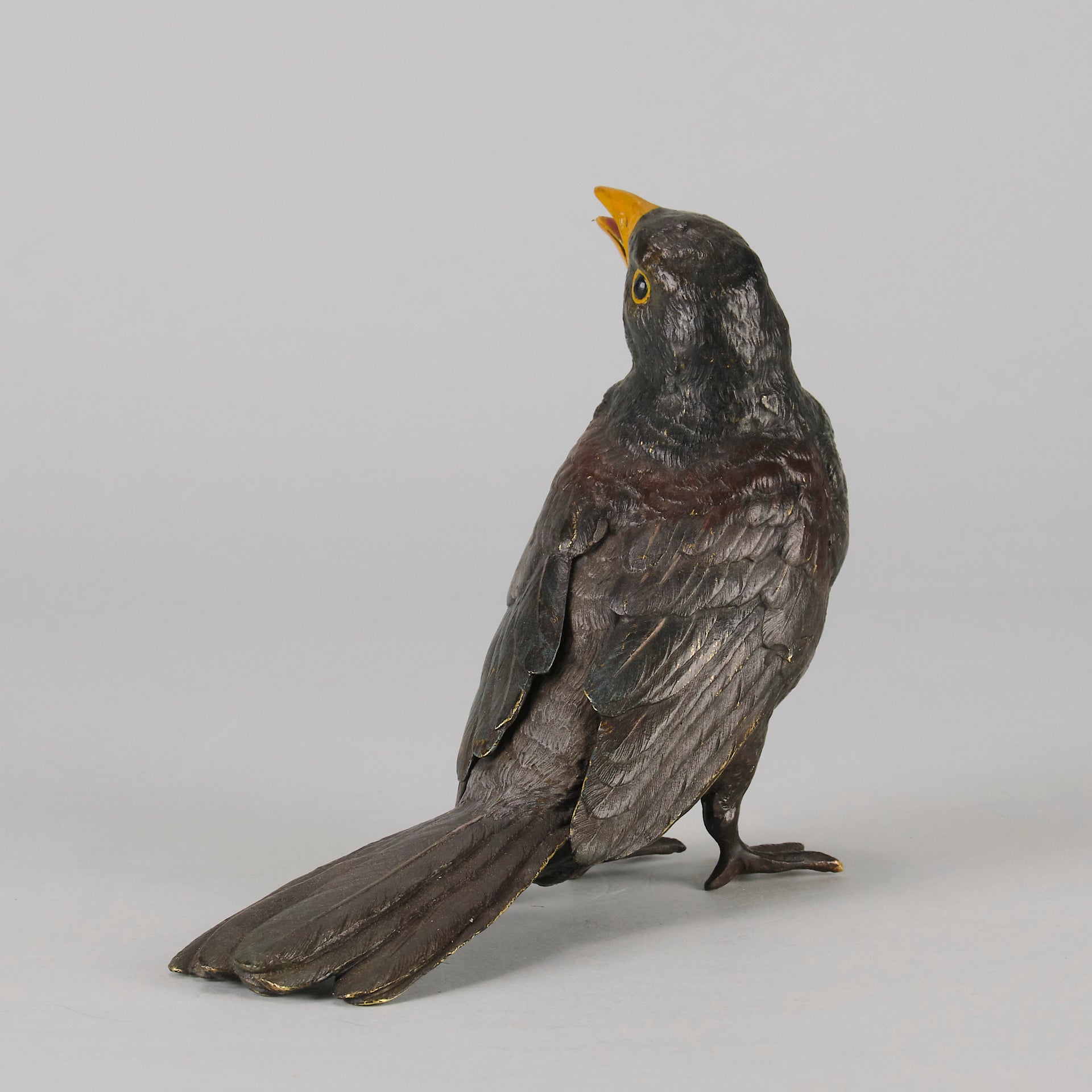 Bergman Bronze - Antique Bronze - Blackbird - Franz Bergman - Bergman cold painted bronze - Hickmet Fine Arts