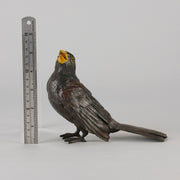 Bergman Bronze - Antique Bronze - Blackbird - Franz Bergman - Bergman cold painted bronze - Hickmet Fine Arts