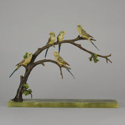 Bergman Bronze Budgerigars