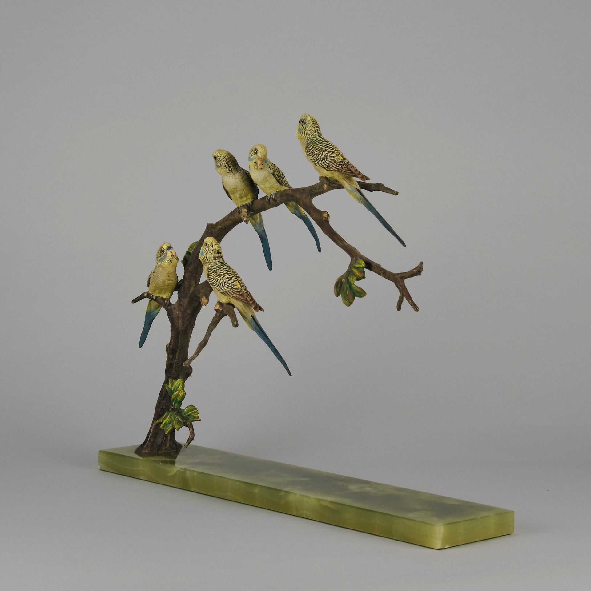 Bergman Bronze Budgerigars