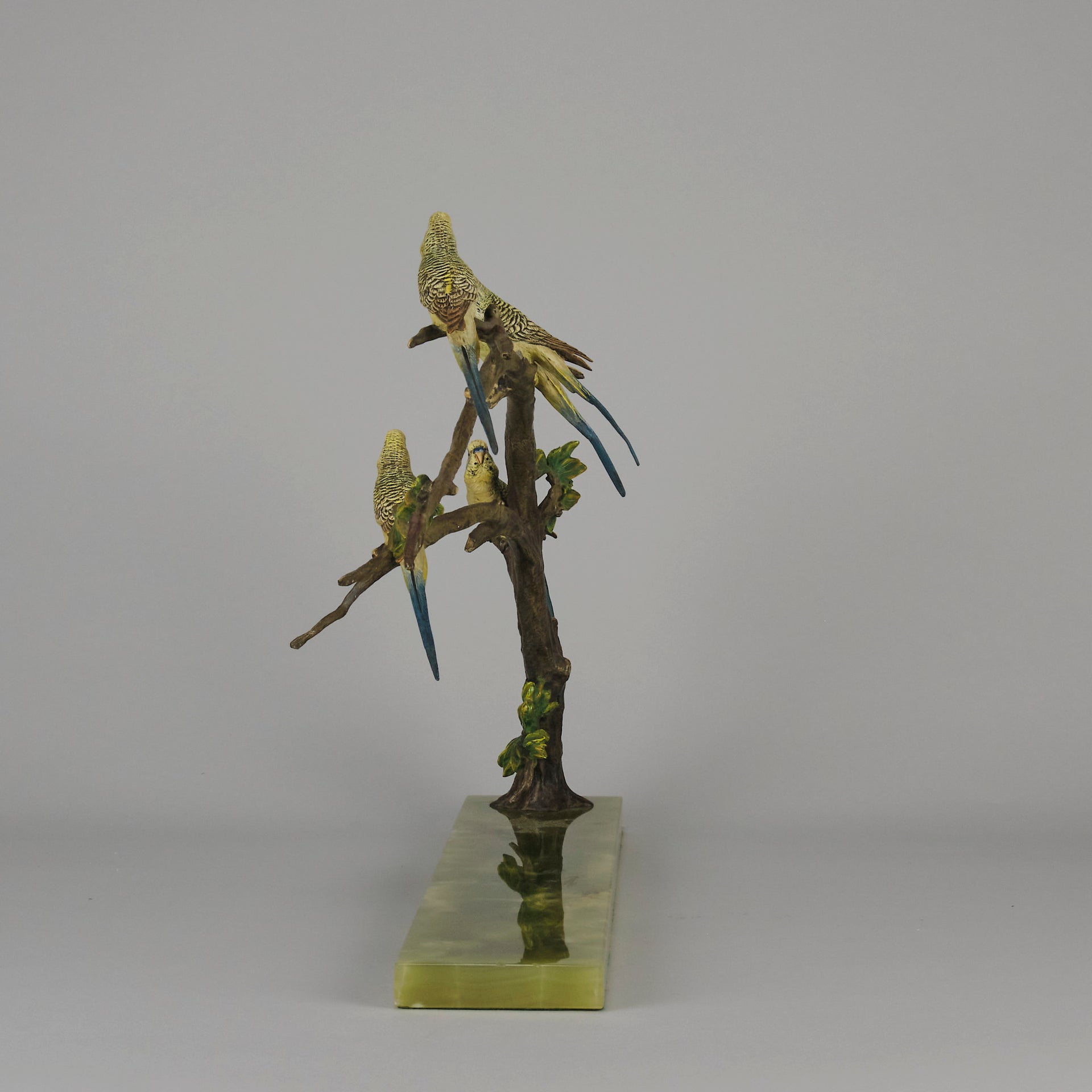 Bergman Bronze Budgerigars