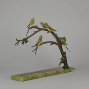 Bergman Bronze Budgerigars