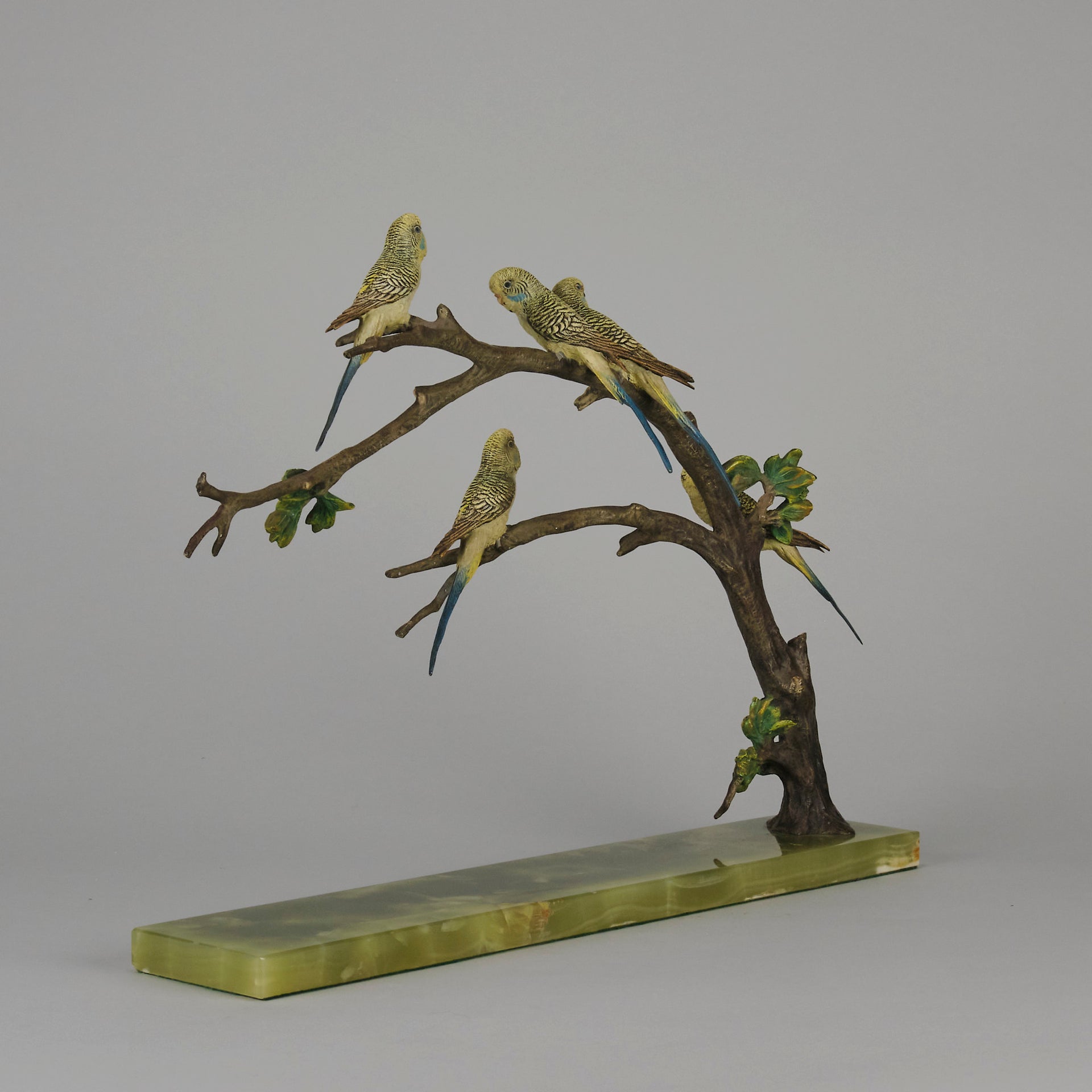 Bergman Bronze Budgerigars