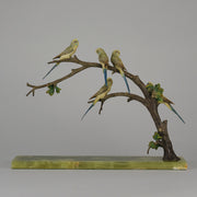 Bergman Bronze Budgerigars