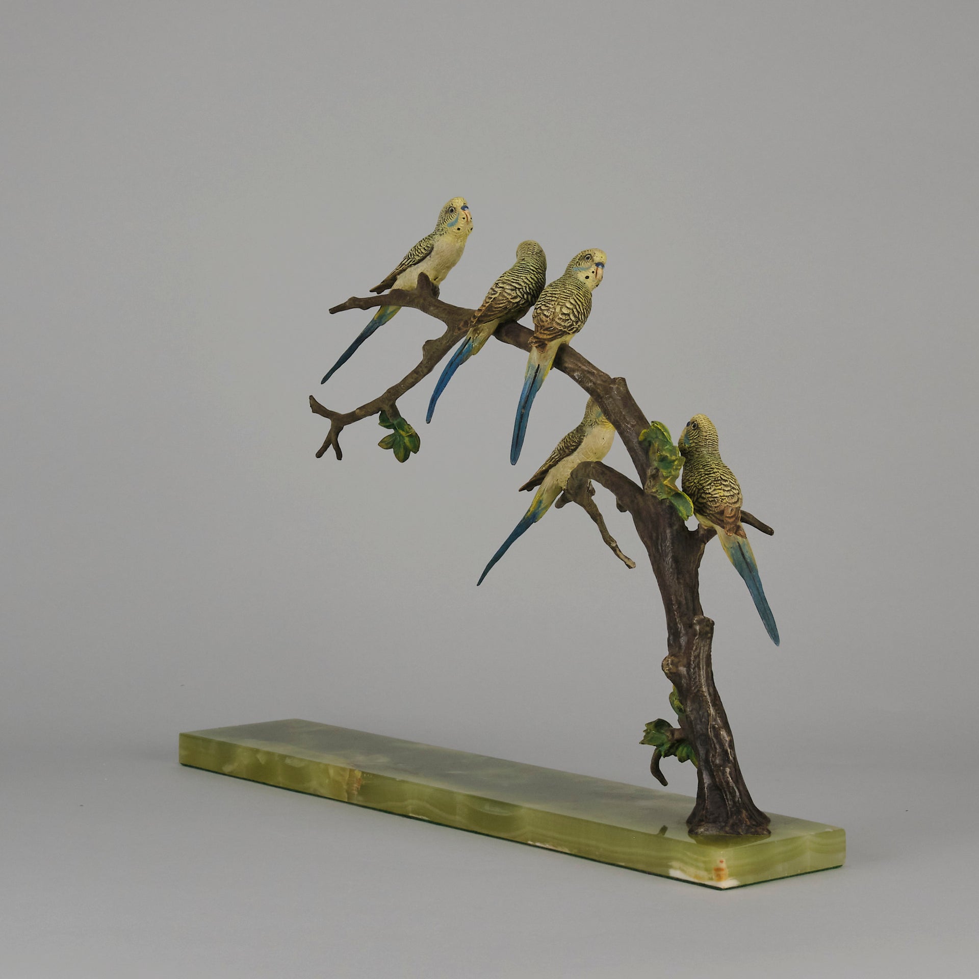 Bergman Bronze Budgerigars