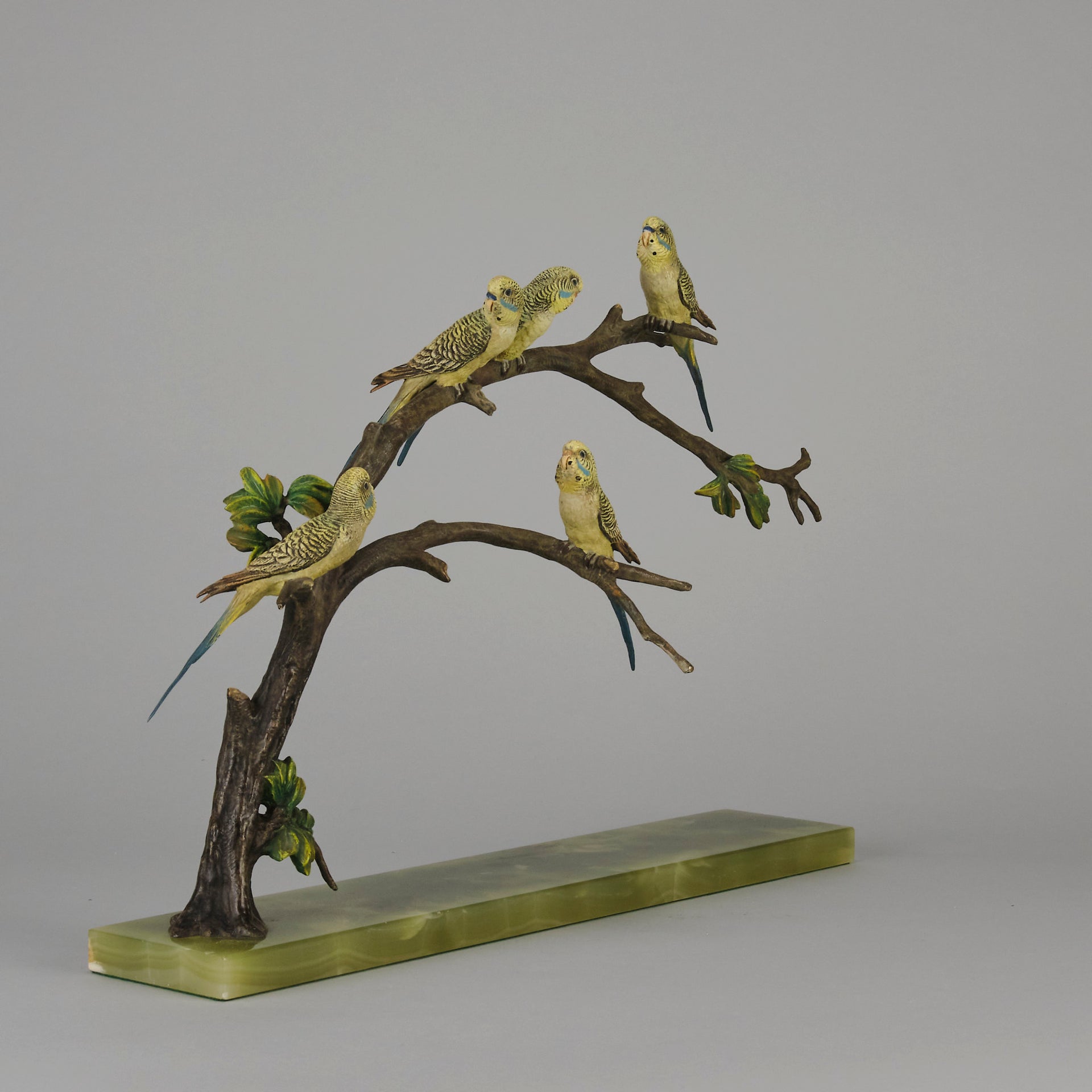 Bergman Bronze Budgerigars