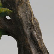 Bergman Bronze Budgerigars