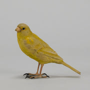 Bergman Canary - Austrian Cold Painted Bronze - Hickmet Fine Arts