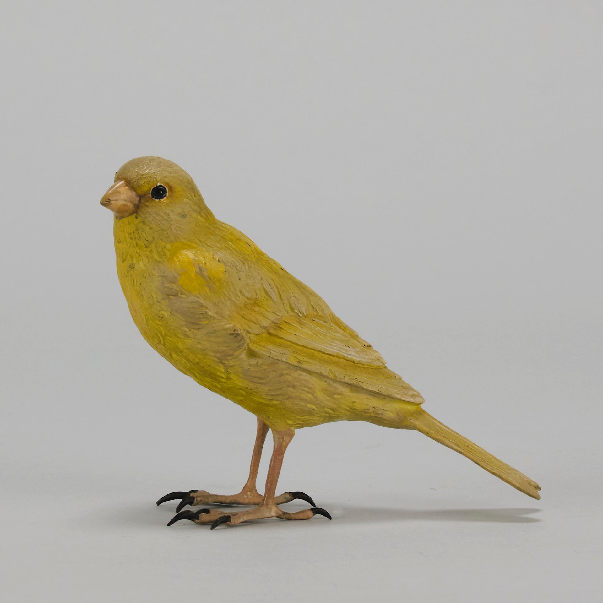 Bergman Canary - Austrian Cold Painted Bronze - Hickmet Fine Arts