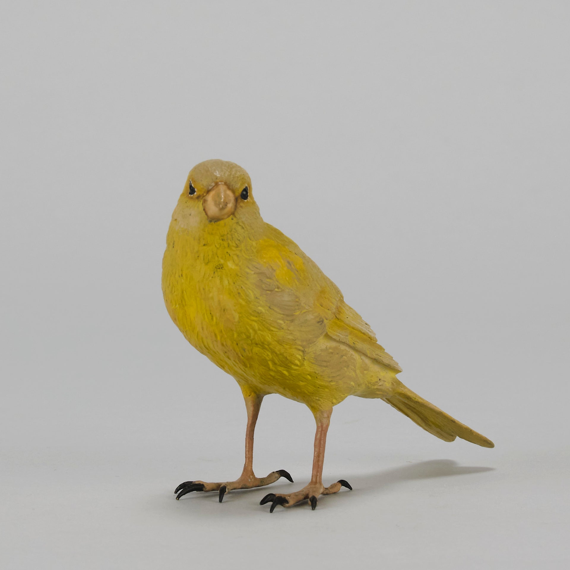 Bergman Canary - Austrian Cold Painted Bronze - Hickmet Fine Arts
