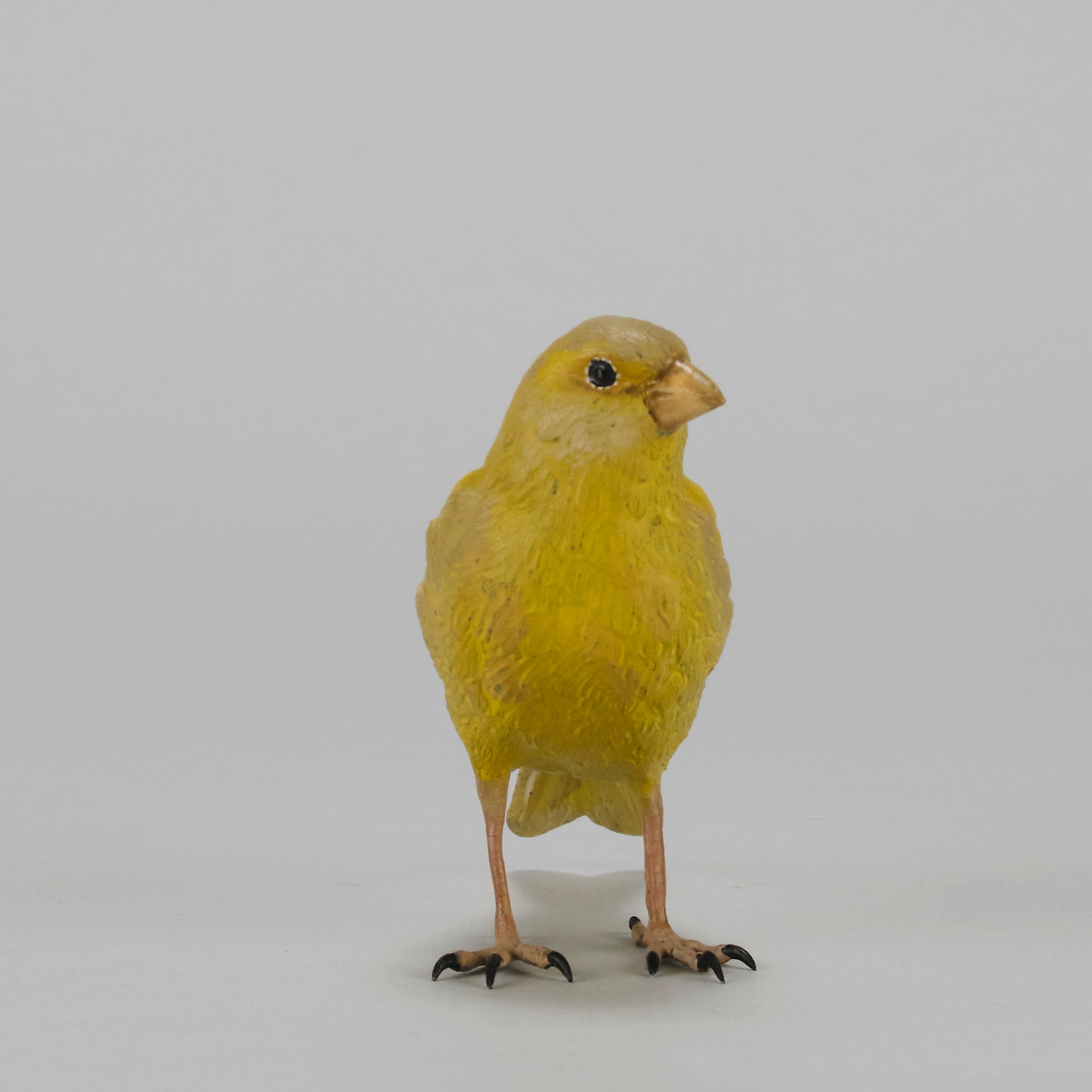 Bergman Canary - Austrian Cold Painted Bronze - Hickmet Fine Arts