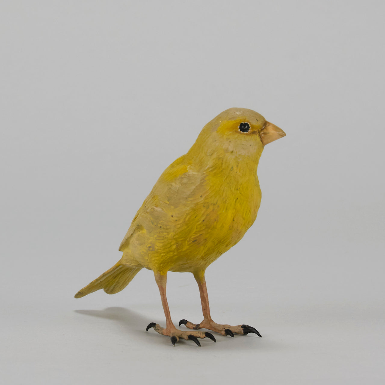 Bergman Canary - Austrian Cold Painted Bronze - Hickmet Fine Arts