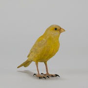 Bergman Canary - Austrian Cold Painted Bronze - Hickmet Fine Arts