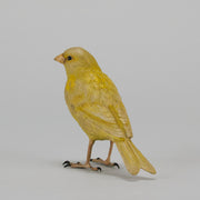 Bergman Canary - Austrian Cold Painted Bronze - Hickmet Fine Arts