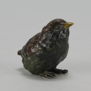 Bergman Chick - Austrian Cold Painted Bronze - Hickmet Fine Arts
