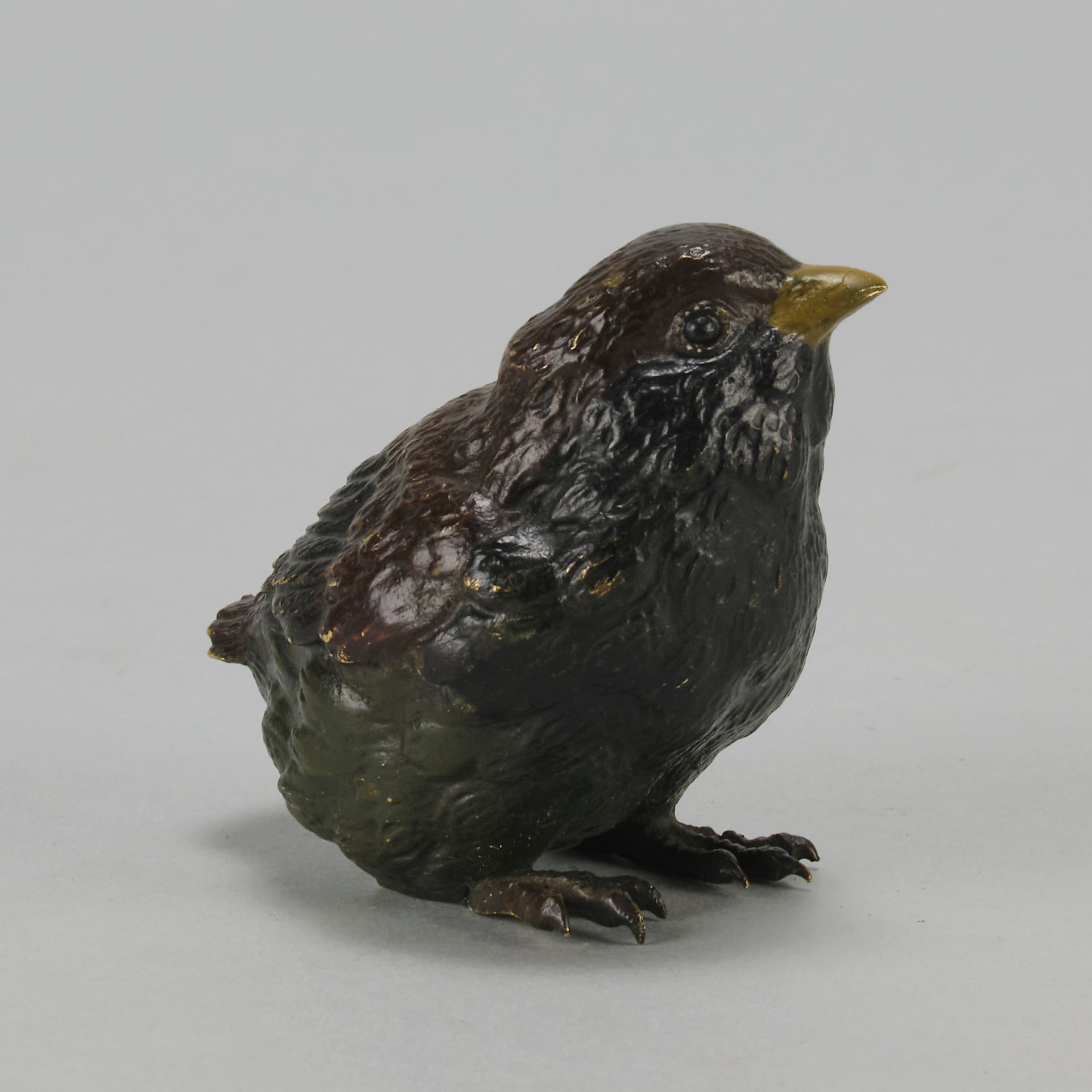 Bergman Chick - Austrian Cold Painted Bronze - Hickmet Fine Arts