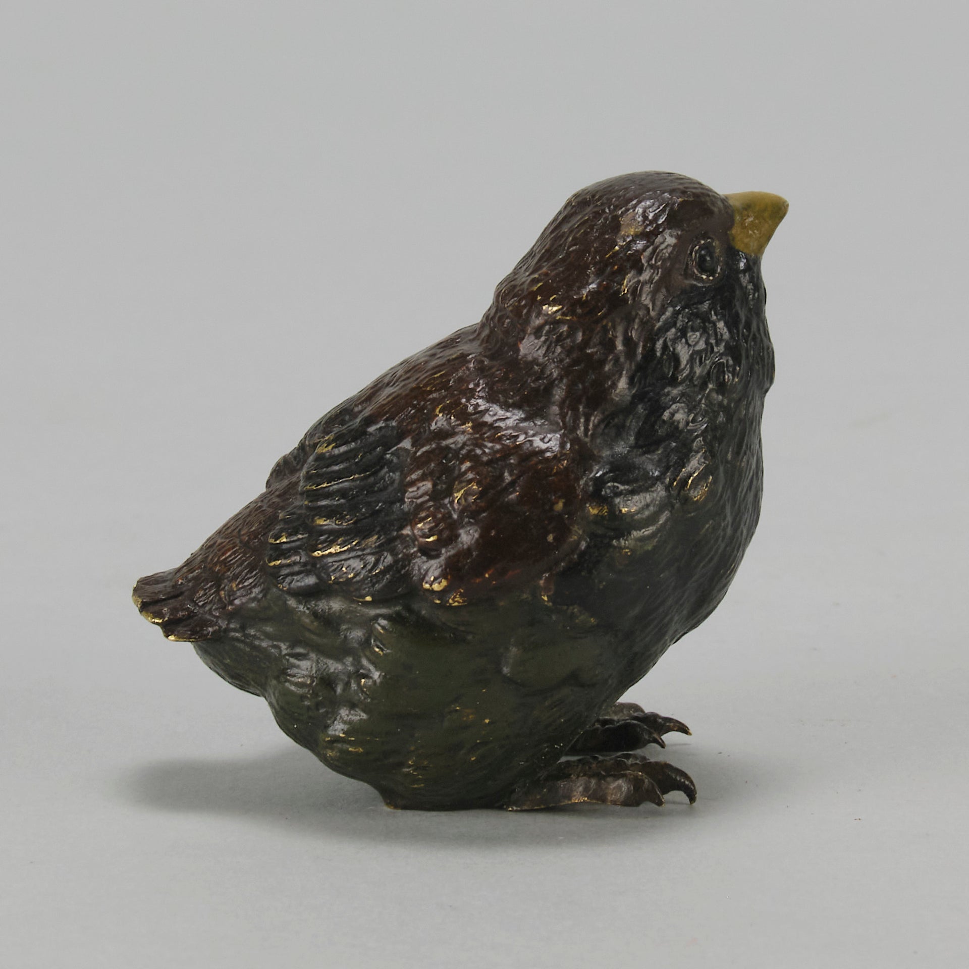 Bergman Chick - Austrian Cold Painted Bronze - Hickmet Fine Arts