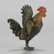 Bergman Cockerel - Austrian Cold Painted Bronze - Hickmet Fine Arts