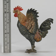 Bergman Cockerel - Austrian Cold Painted Bronze - Hickmet Fine Arts
