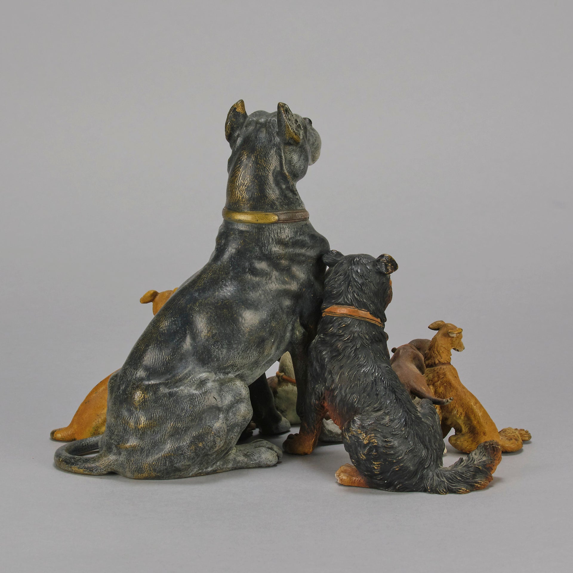 Group of 8 seated dogs of various breeds in cold painted bronze by Franz Bergman with excellent naturalistic colour and fine hand chased surface detail