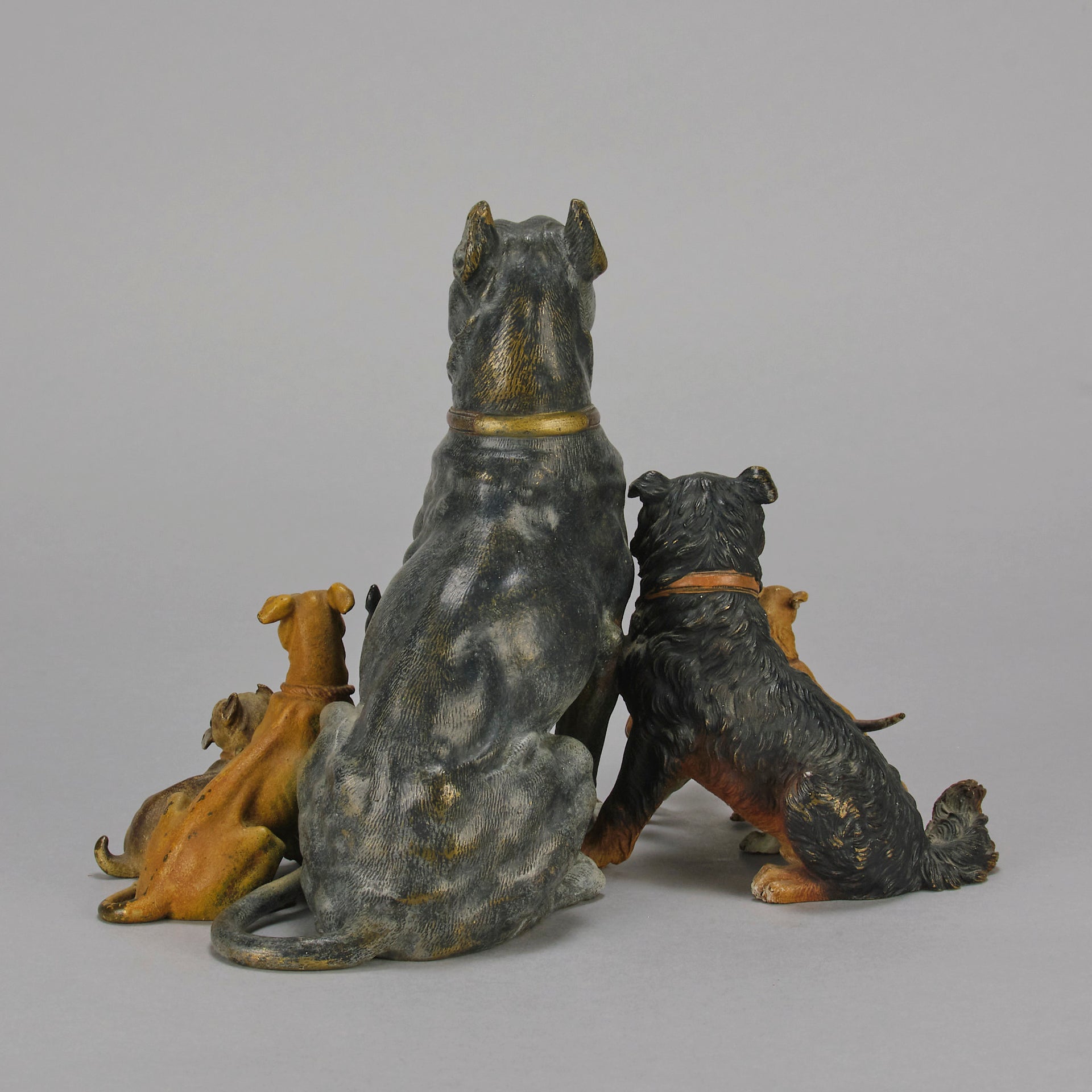Group of 8 seated dogs of various breeds in cold painted bronze by Franz Bergman with excellent naturalistic colour and fine hand chased surface detail