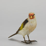Bergman Goldfinch - Austrian Cold Painted Bronze - Hickmet Fine Arts