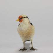 Bergman Goldfinch - Austrian Cold Painted Bronze - Hickmet Fine Arts