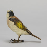 Bergman Goldfinch - Austrian Cold Painted Bronze - Hickmet Fine Arts