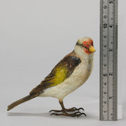 Bergman Goldfinch - Austrian Cold Painted Bronze - Hickmet Fine Arts