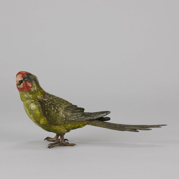 Bergman Green Parrot - Franz Bergman Bronze - Hickmet Fine Arts