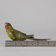 Bergman Green Parrot - Franz Bergman Bronze - Hickmet Fine Arts