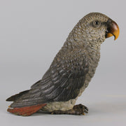 Austrian Bronze - Franz Bergman Grey Parrot - Hickmet Fine Arts