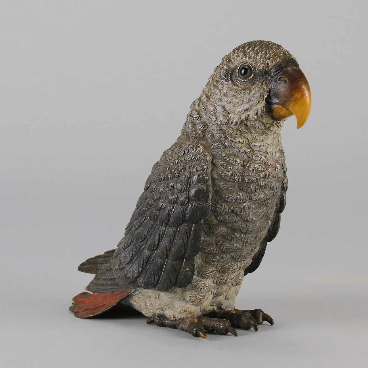 Austrian Bronze - Franz Bergman Grey Parrot - Hickmet Fine Arts