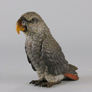 Austrian Bronze - Franz Bergman Grey Parrot - Hickmet Fine Arts