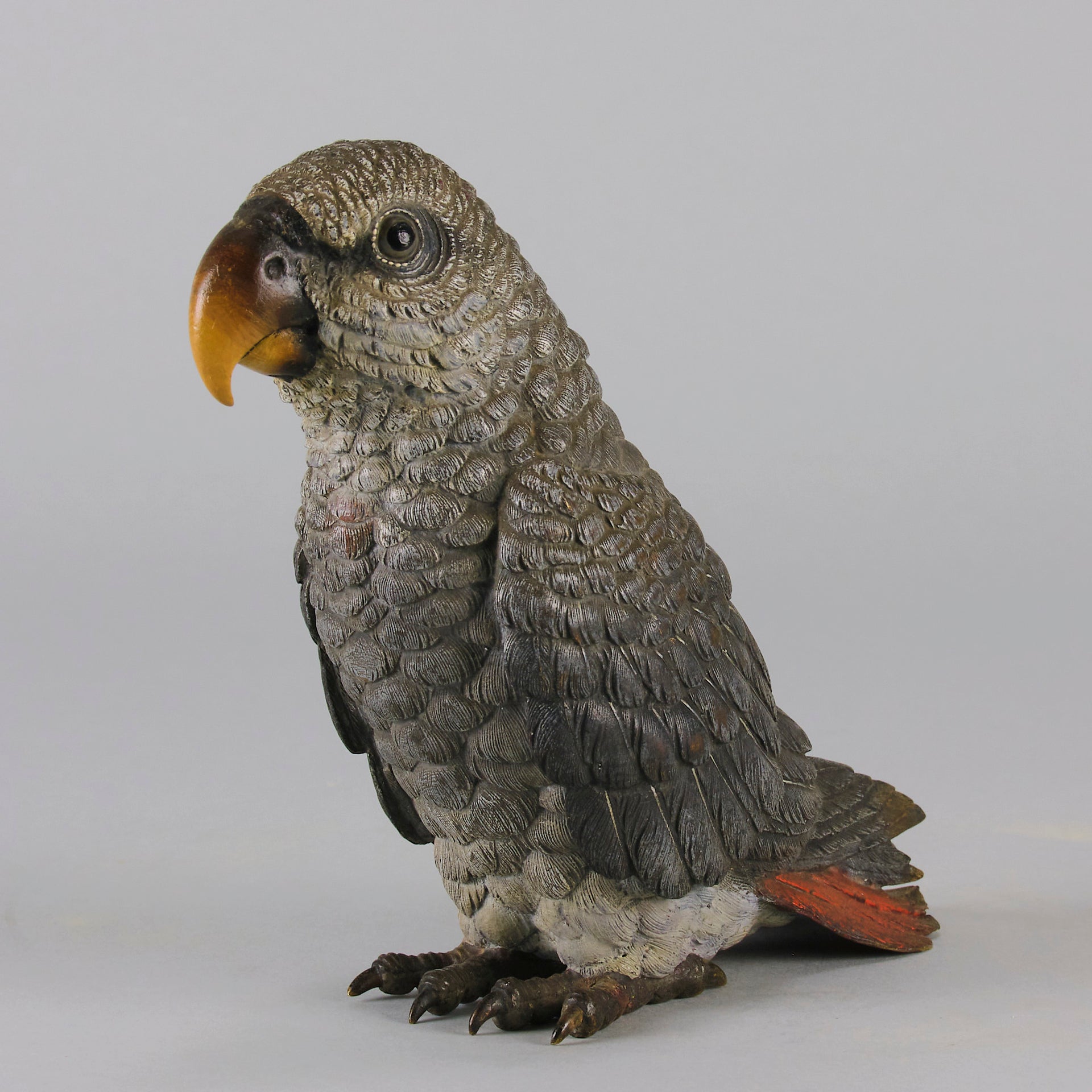 Austrian Bronze - Franz Bergman Grey Parrot - Hickmet Fine Arts